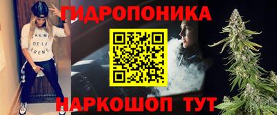 ешки Кингисепп