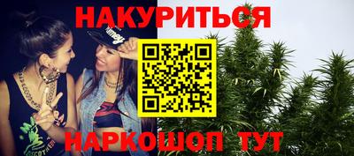 ешки Кингисепп