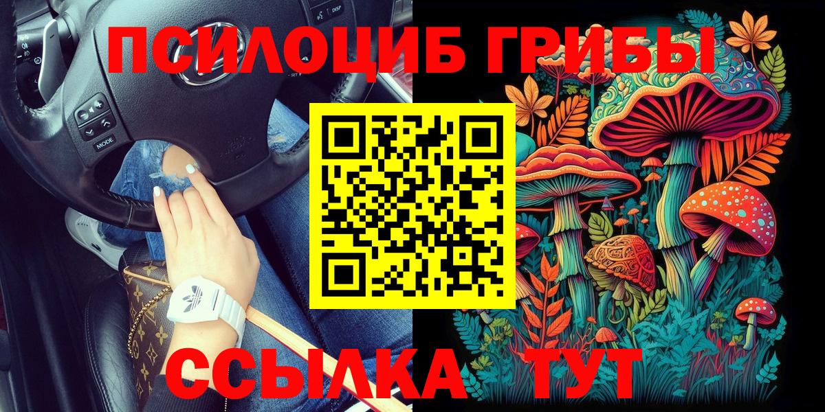 Псилоцибиновые грибы прущие грибы Красноуфимск
